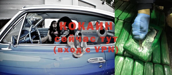 ешки Вяземский