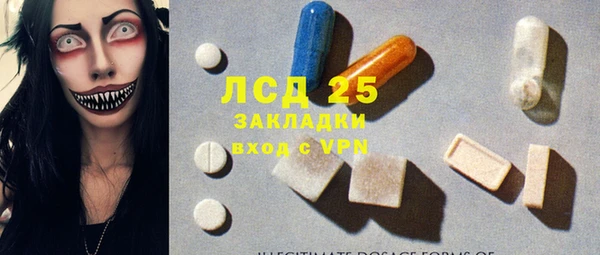 ешки Вяземский