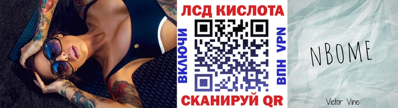 hydra маркетплейс  Елизово  Наркотические марки 1,5мг 