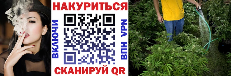 Каннабис MAZAR  как найти   Елизово 